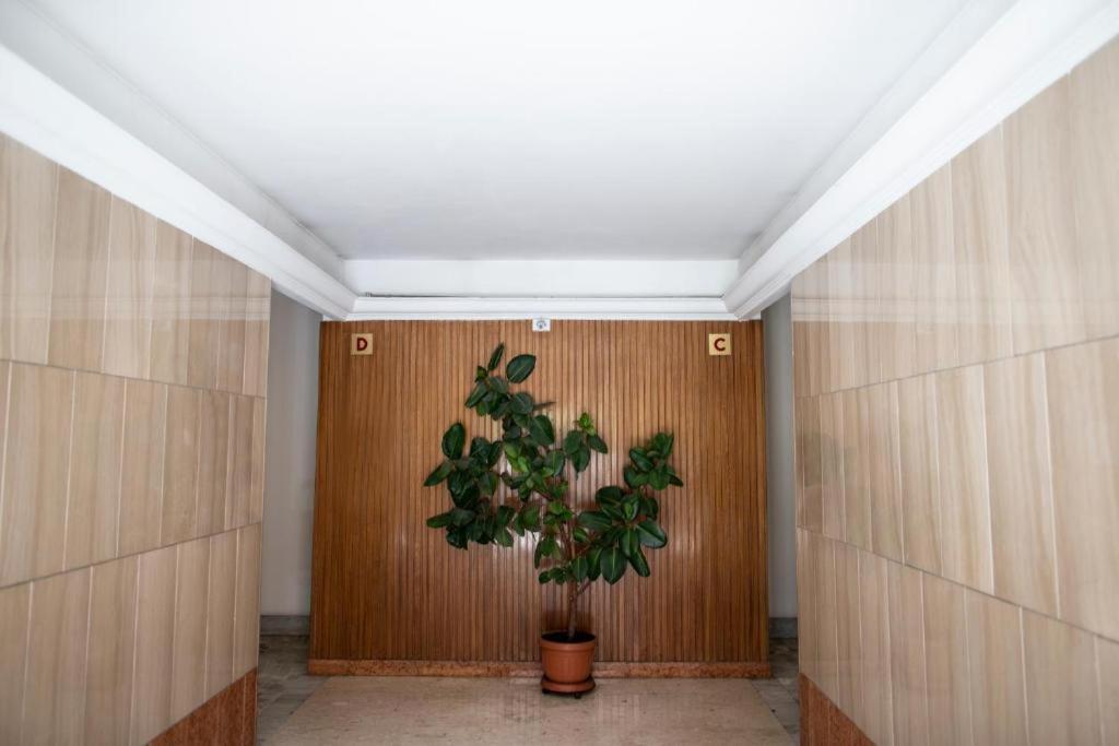 Appartement Palace 2 *